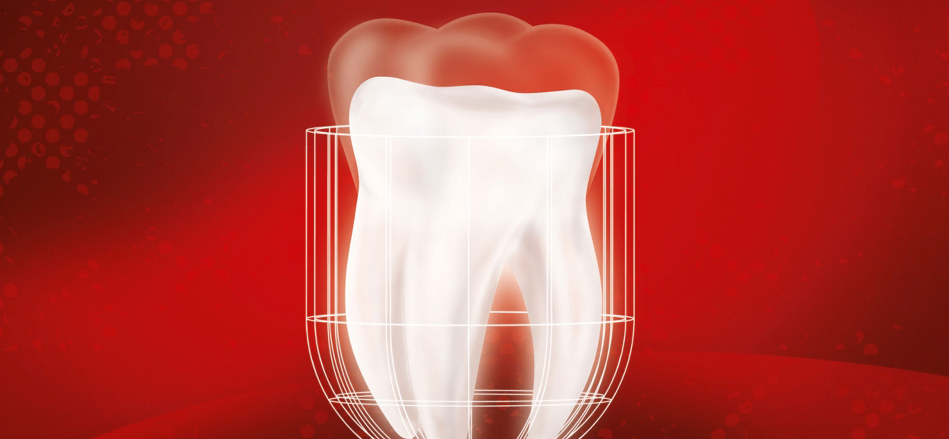 Biodentine-capsul-visual